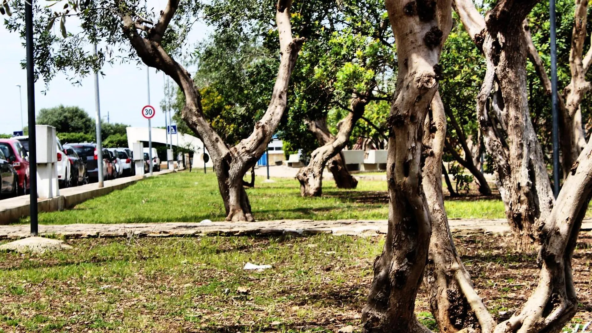 דירות בארי Fara 8 0*,